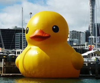 Rubber Duckie